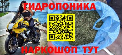 прущий лед Гусев