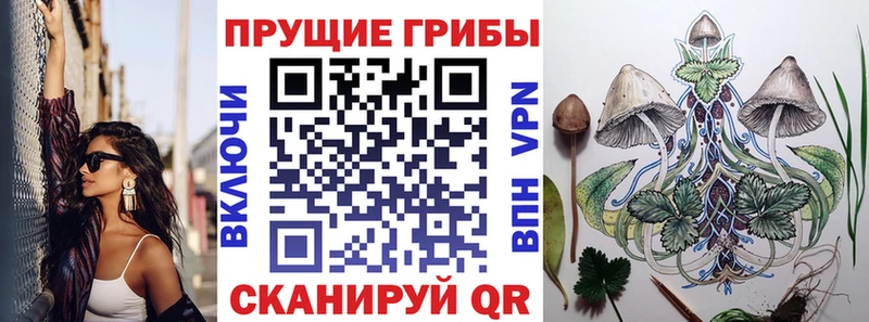 маркетплейс клад  Лесосибирск  Галлюциногенные грибы Psilocybe 