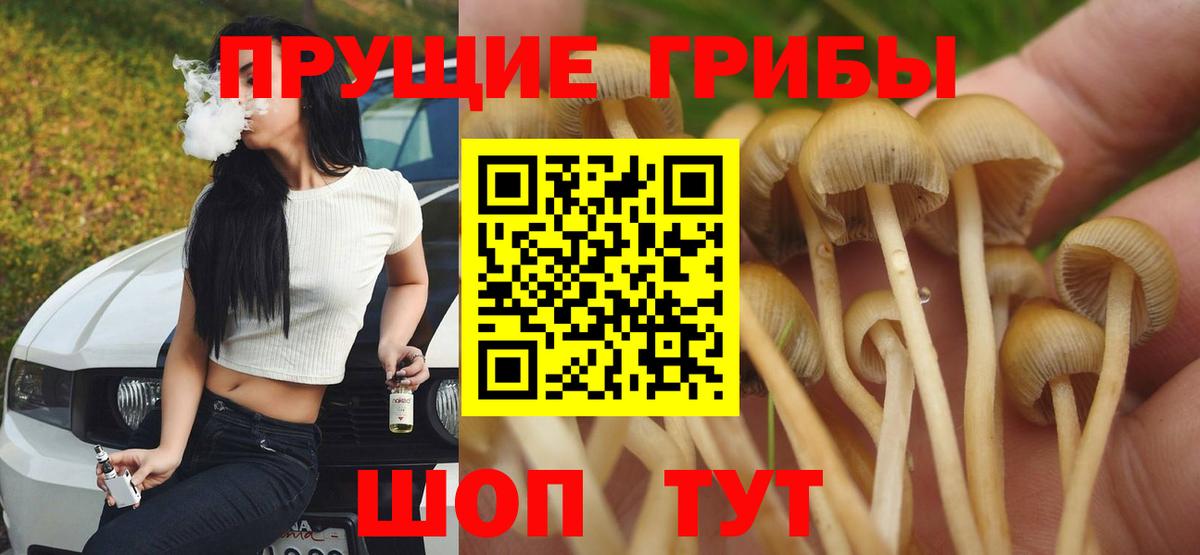 Галлюциногенные грибы прущие грибы  Галлюциногенные грибы прущие грибы  Лесосибирск  купить   Вход с VPN 