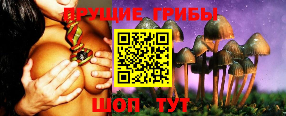 Галлюциногенные грибы Cubensis Лесосибирск